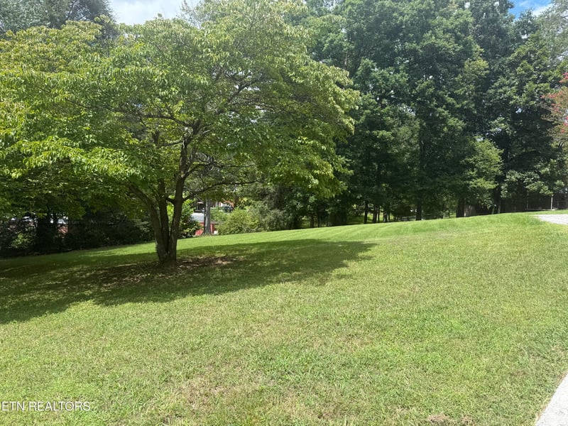 414 Molyneux St, Rockwood, TN 37854