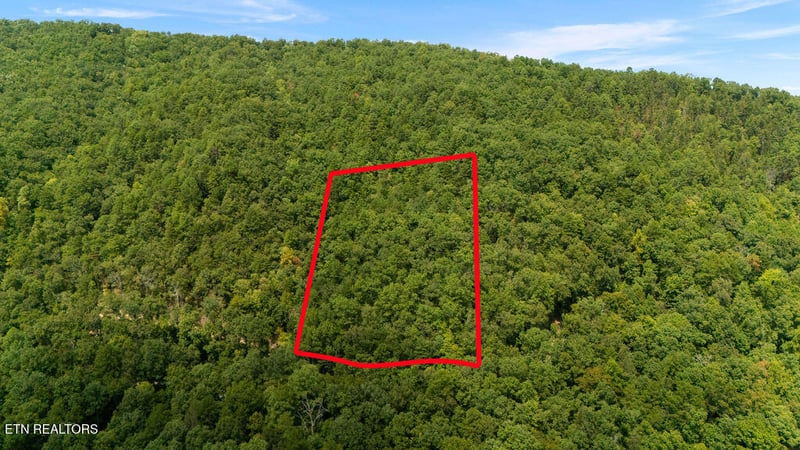 4143 Lumber Jack Way, Sevierville, TN 37876