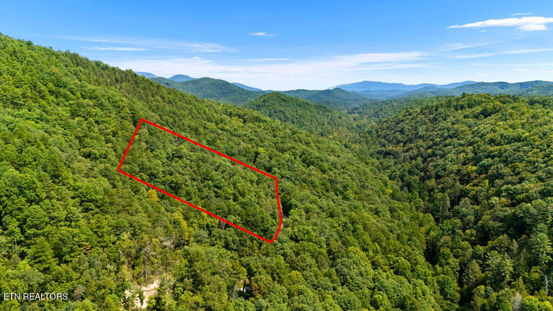 4143 Lumber Jack Way, Sevierville, TN 37876
