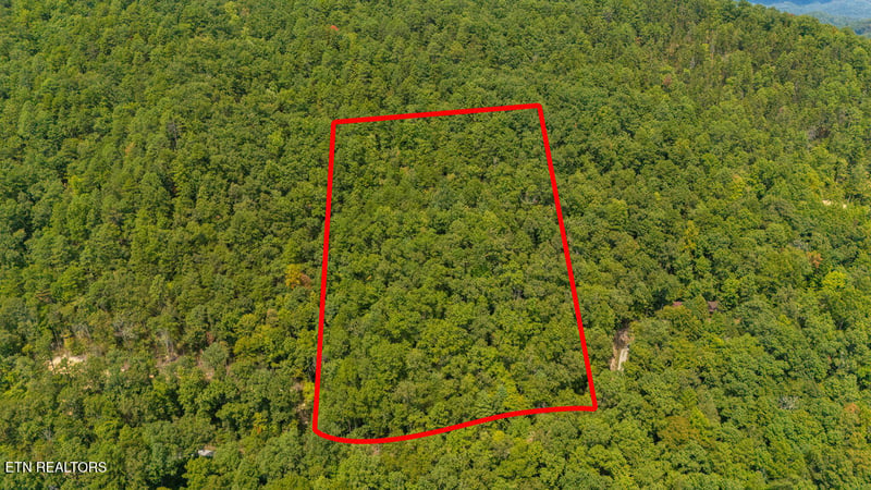 4143 Lumber Jack Way, Sevierville, TN 37876