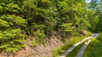 4143 Lumber Jack Way, Sevierville, TN 37876
