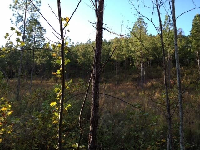 415 Co Rd 184, Athens, TN 37303