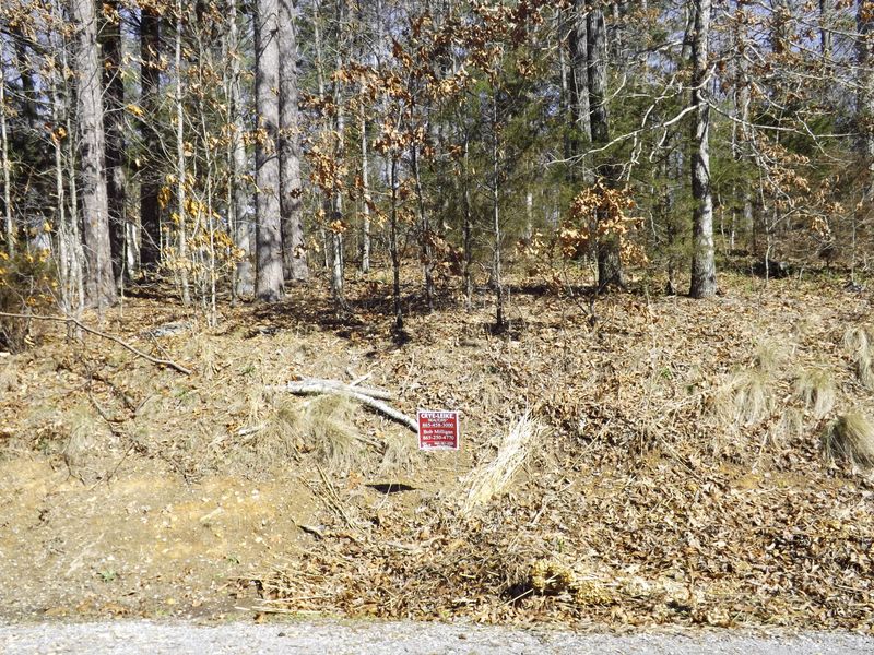 415 Tanasi Way, Loudon, TN 37774