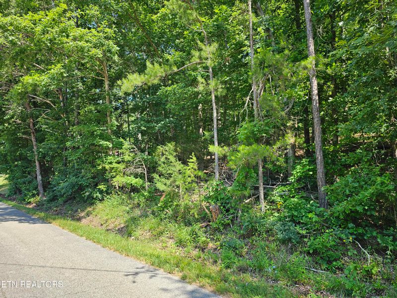 416 Gage Rd, Philadelphia, TN 37846
