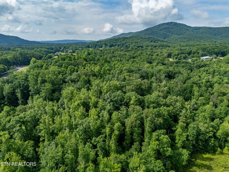 416 Liberty Rd, Wartburg, TN 37887