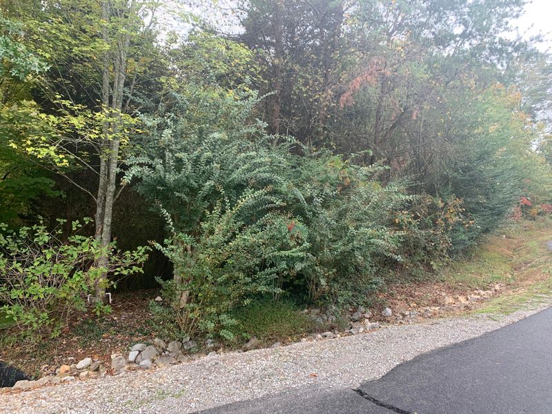 416 Seminole Pl, Loudon, TN 37774
