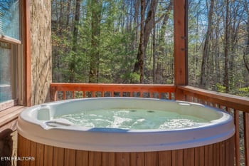 4164 Lumber Jack Way, Sevierville, TN 37876