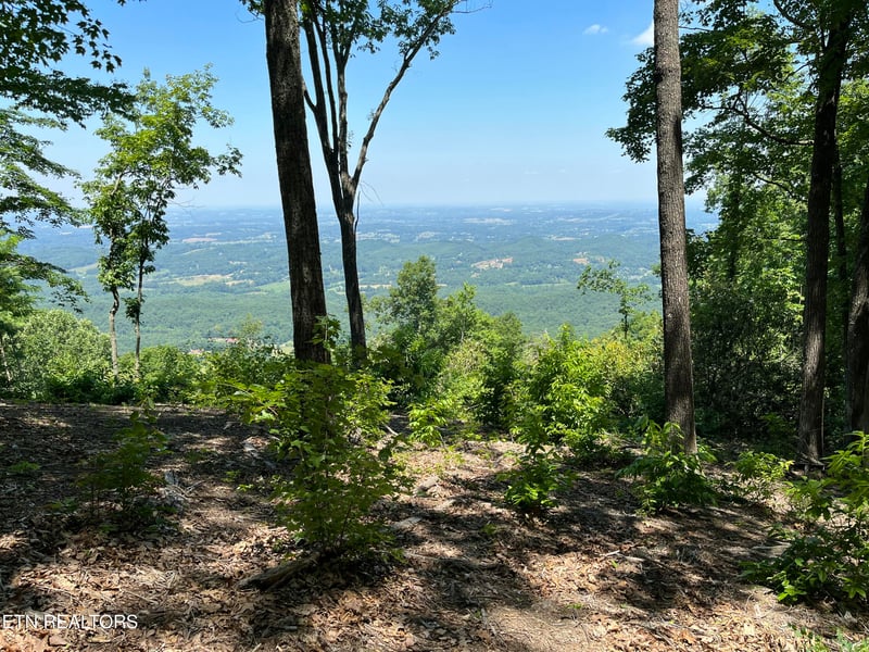 4166 Chilhowee Tr, Maryville, TN 37803