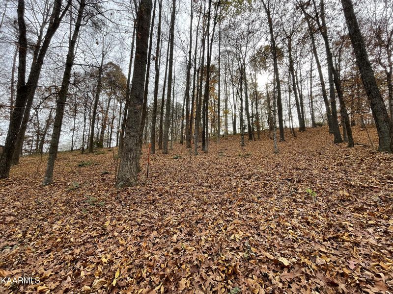 4167 River Rd, Ten Mile, TN 37880