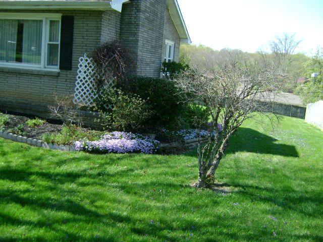 417 Centeroak Dr, Knoxville, TN 37920