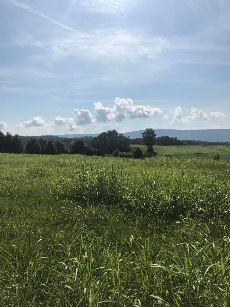 417 County Rd 788, Etowah, TN 37331