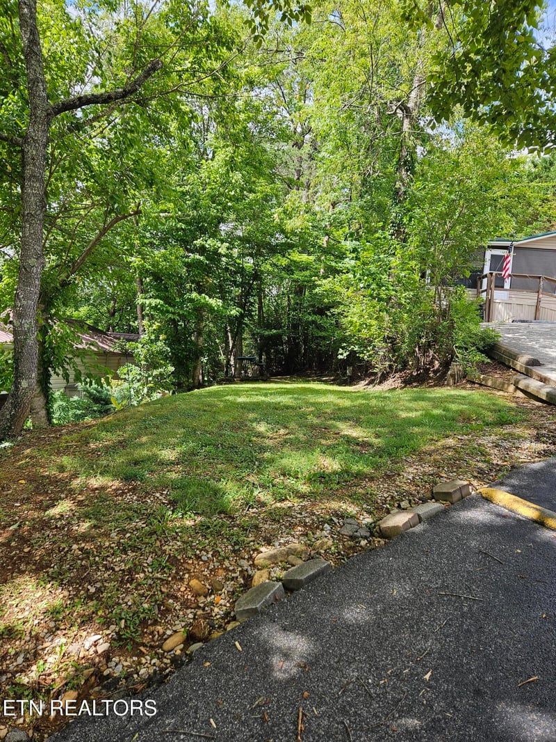 417 Mountain Thrush Dr, Townsend, TN 37882