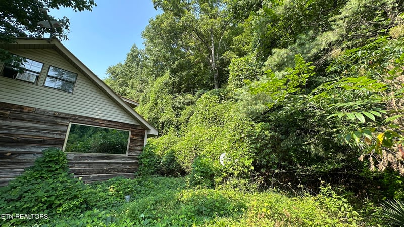 419 Ashe Cabin Hollow Rd, Harriman, TN 37748