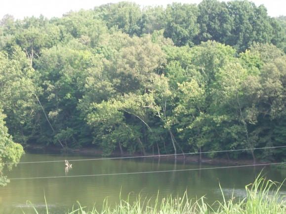 4195 Harbor View Dr, Morristown, TN 37814