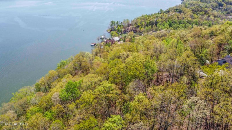 42 Eerie Point, Rockwood, TN 37854