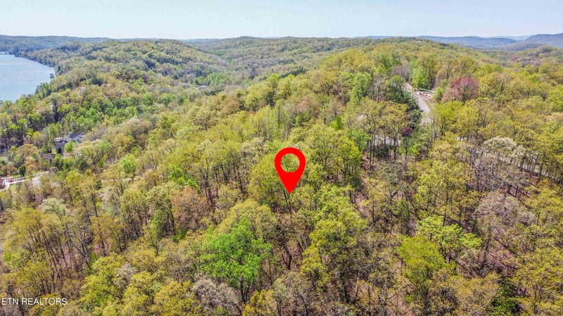 42 Eerie Point, Rockwood, TN 37854