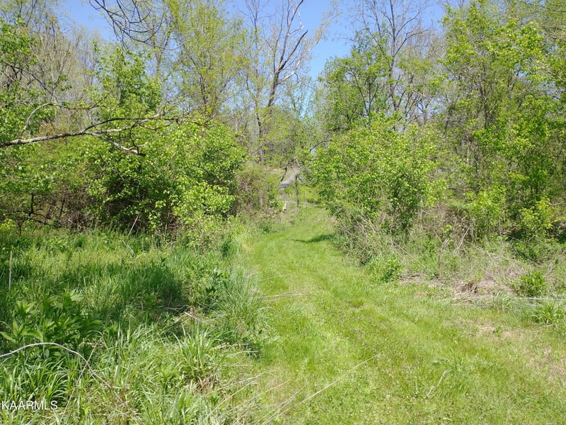 420 Winding Ridge Tr, Seymour, TN 37865