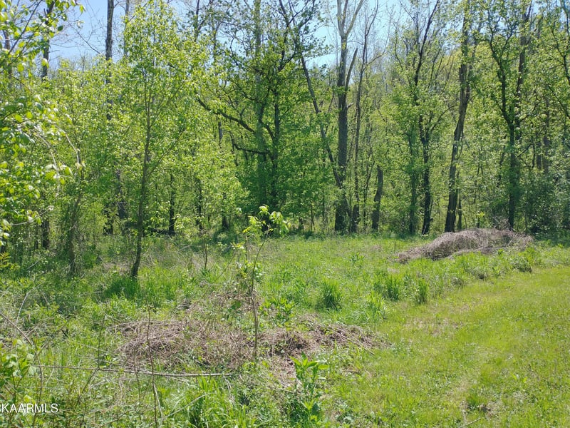 420 Winding Ridge Tr, Seymour, TN 37865