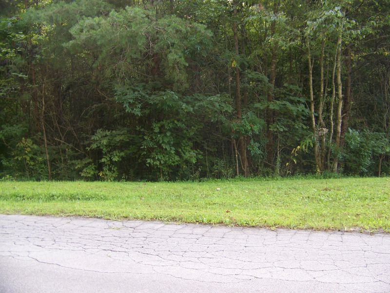 4208 Butterfly Gap Loop Rd, Maryville, TN 37803