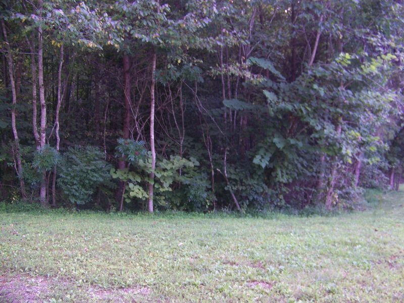 4208 Butterfly Gap Loop Rd, Maryville, TN 37803
