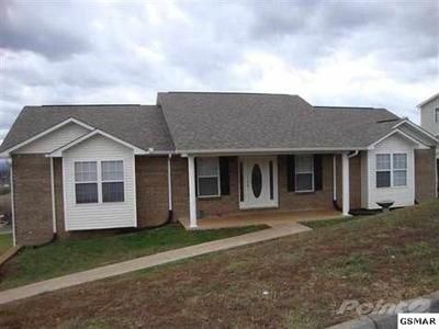 422 Troy Cate Rd, Kodak, TN 37764