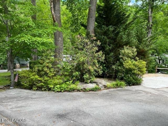 4224 E Parkway Pkwy #273, Gatlinburg, TN 37738