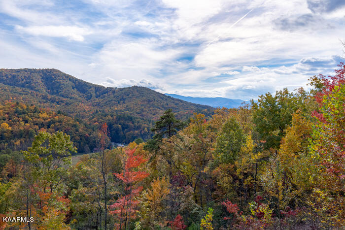 4228 Wears Valley Rd #171, Sevierville, TN 37862