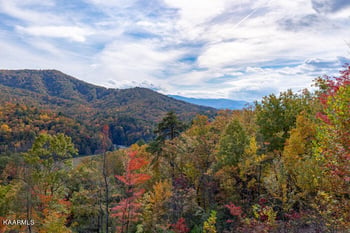 4228 Wears Valley Rd #172, Sevierville, TN 37862