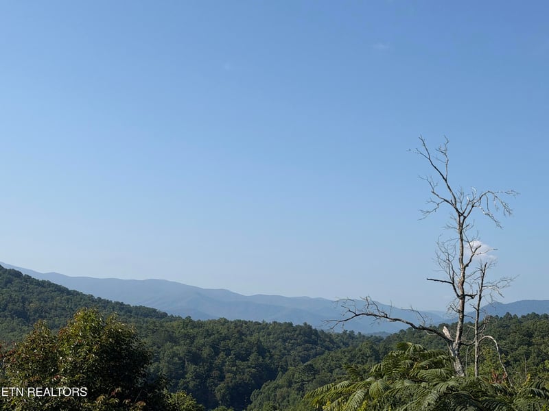 4228 Wears Valley Rd, Sevierville, TN 37862