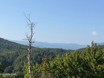 4228 Wears Valley Rd, Sevierville, TN 37862