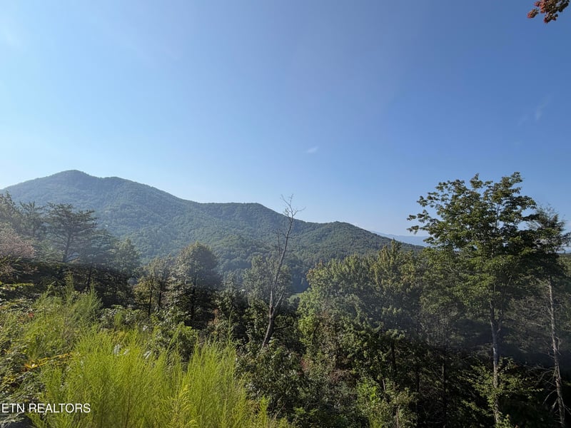 4228 Wears Valley Rd, Sevierville, TN 37862