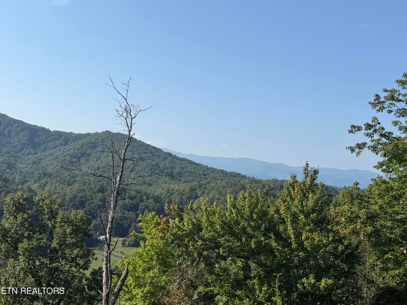 4228 Wears Valley Rd, Sevierville, TN 37862