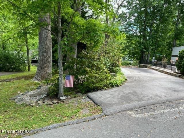 4229 E Parkway Pkwy #273, Gatlinburg, TN 37738