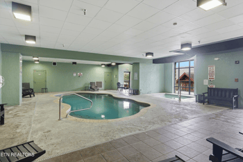 423 Big Bear Way, Pigeon Forge, TN 37863