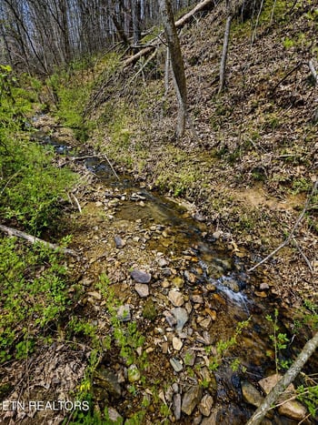 4231 Rocky Branch Rd, Walland, TN 37886