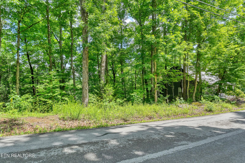 424 Laurel Rd, Townsend, TN 37882