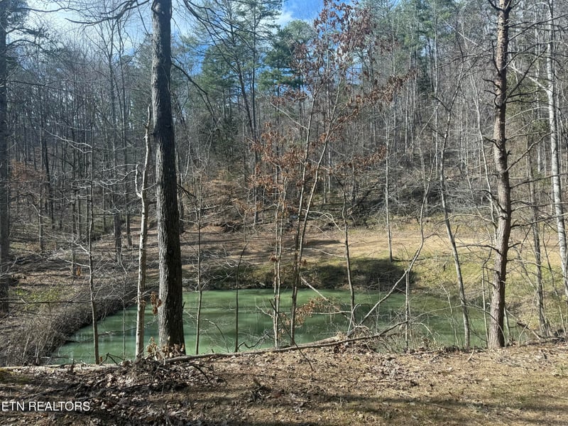 425 Smokey Rd, Rutledge, TN 37861
