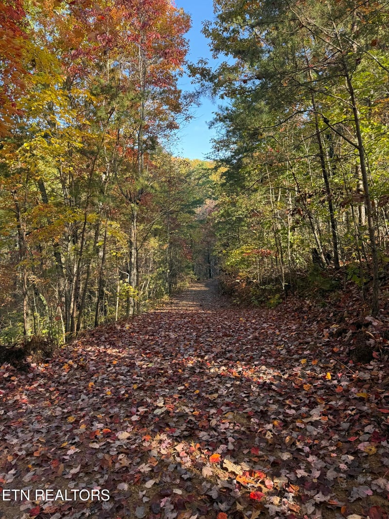 425 Smokey Rd, Rutledge, TN 37861