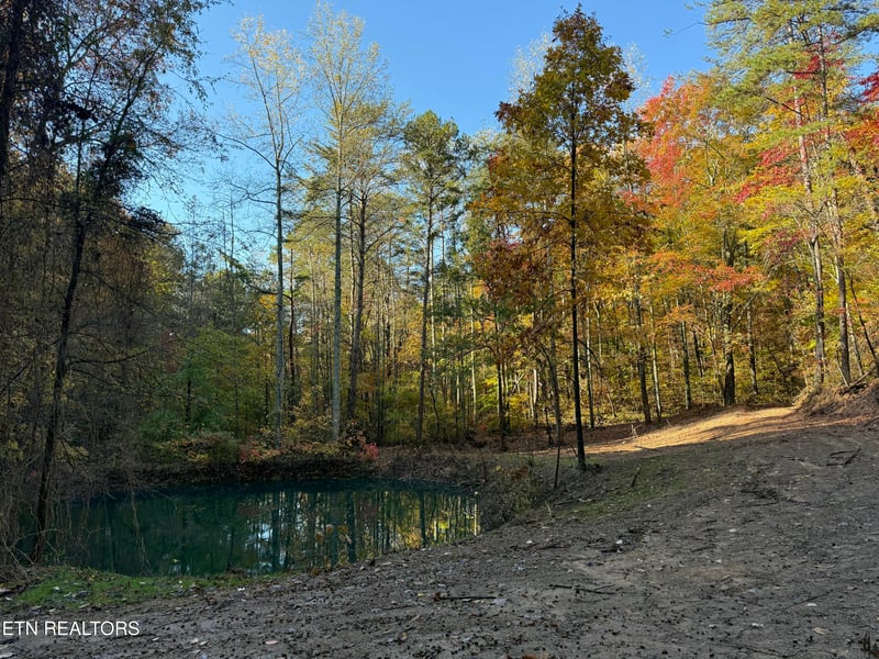 425 Smokey Rd, Rutledge, TN 37861