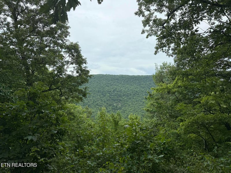 425 Smokey Rd, Rutledge, TN 37861