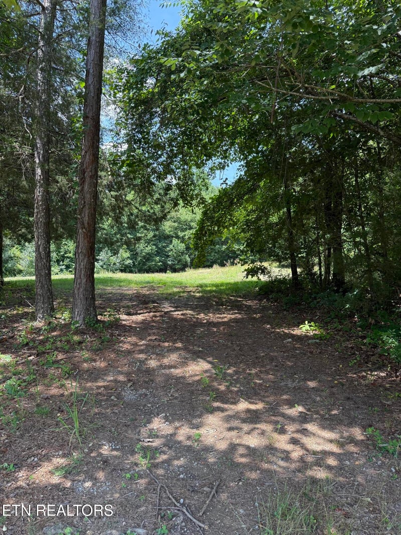 426 County Road 728 #51 +/-acres, Riceville, TN 37370