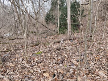 4266 Miser Station Rd, Louisville, TN 37777