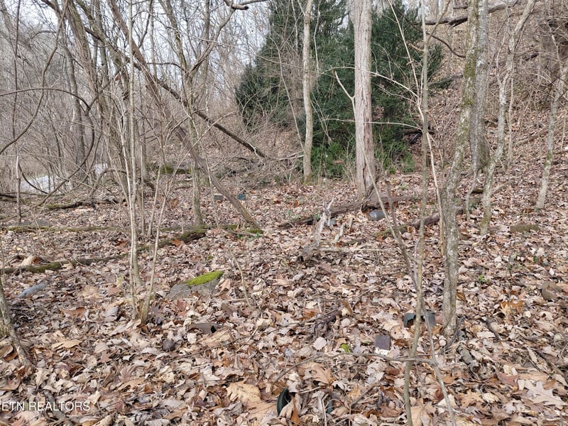 4266 Miser Station Rd, Louisville, TN 37777