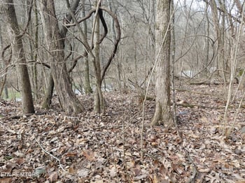 4266 Miser Station Rd, Louisville, TN 37777