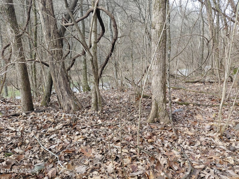 4266 Miser Station Rd, Louisville, TN 37777