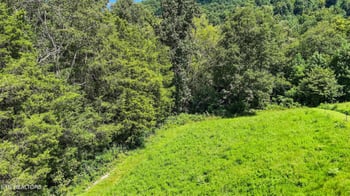 428 Green Welch Rd, Washburn, TN 37888