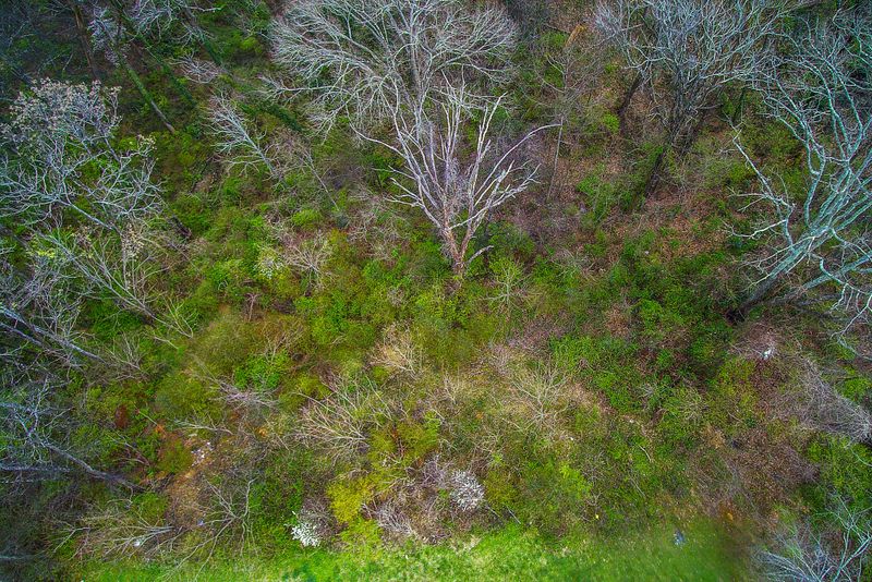 428 Kendall Rd, Knoxville, TN 37919