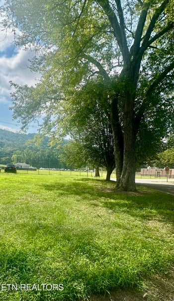 428 Kingston Ave, Oliver Springs, TN 37840