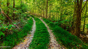 429 King Branch Rd, Sevierville, TN 37876