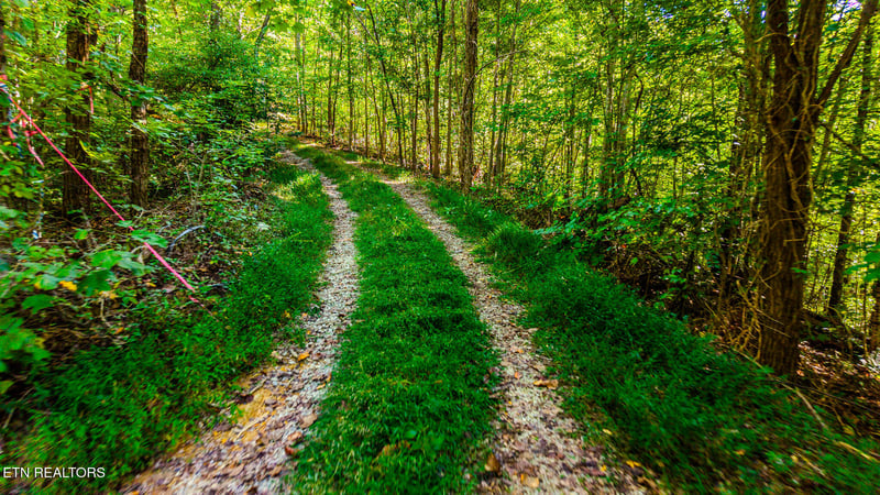 429 King Branch Rd, Sevierville, TN 37876
